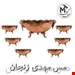  سرویس پذیرایی مسی 7 پارچه مدل گوشواره‌ای 