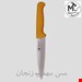 چاقو آشپزخانه طاهری مدل 110