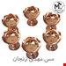 ست 9 تکه هفت سین مسی مدل ماهور کد HSM-9