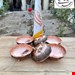 اجیل خوری مسی گلبرگی نانو 