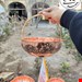 سبد مسی رز سلطنتی بزرگ 