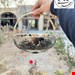 سبد مسی کروم متوسط 