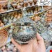 قندان مسی گلبرگی کروم 