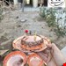 پیش دستی و اجیل مسی  رز سلطنتی 