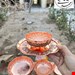 پیش دستی و اجیل مسی  رز سلطنتی 