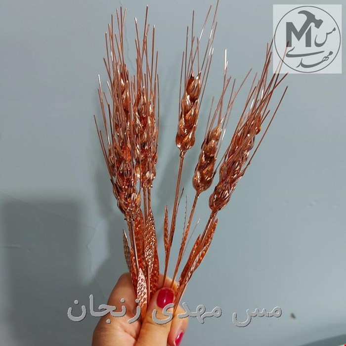 گل مس زنجان 
