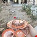 اجیل خوری پک 6 تایی 